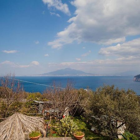 Villa De Angelis Sorrento Bagian luar foto