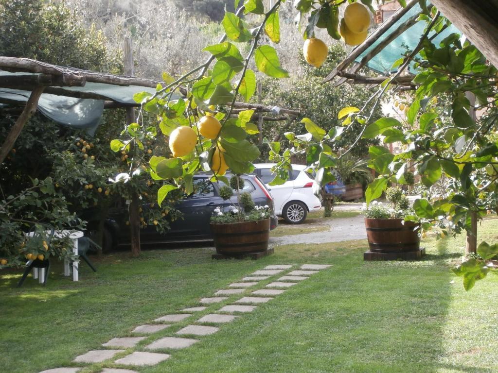 Villa De Angelis Sorrento Bagian luar foto