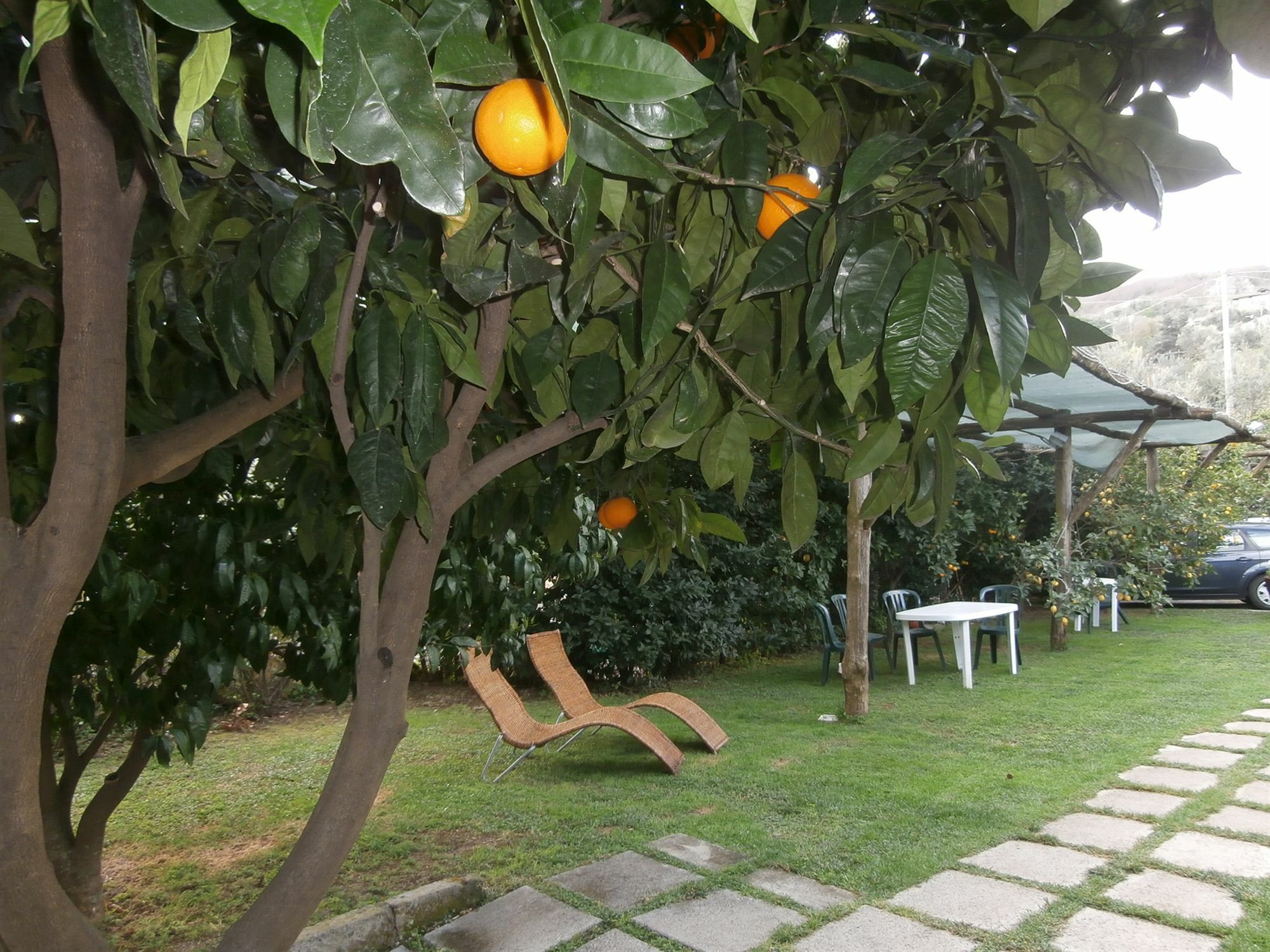 Villa De Angelis Sorrento Bagian luar foto