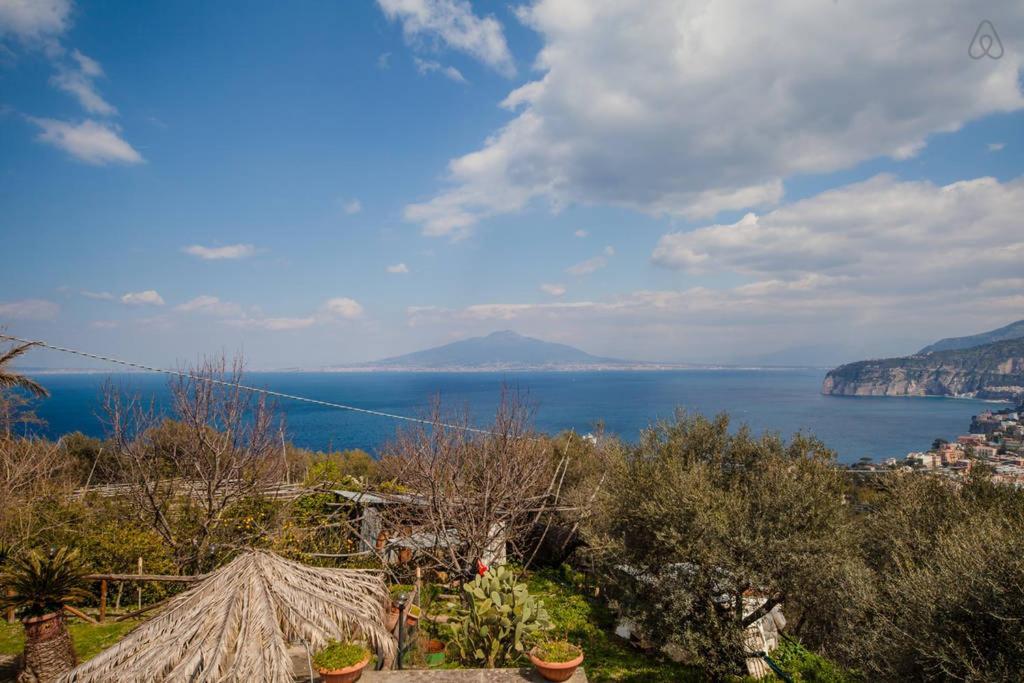 Villa De Angelis Sorrento Bagian luar foto